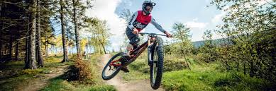 Fietser springt over een heuvel in een bosrijke omgeving.